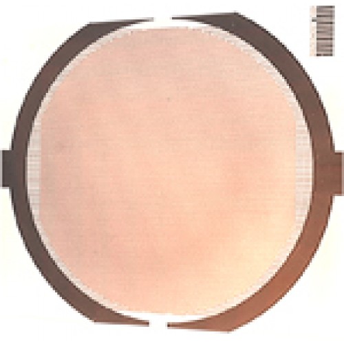 Micrux Thin-film InterDigitated Electrode