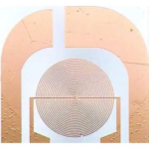 Micrux Thin-film InterDigitated ring array microelectrode