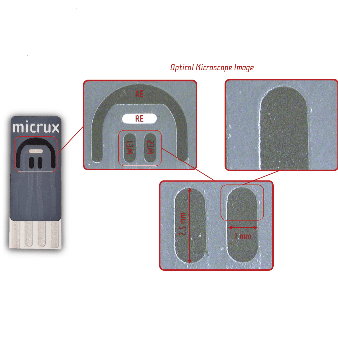 Micrux SPE with 2 Working Electrodes